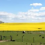 Ferien Auf Dem Bauernhof Nr. 101 Κατάλυμα σε φάρμα